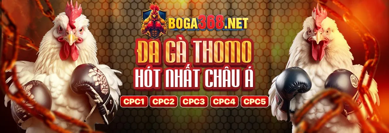 Quản lý vốn cược hợp lý